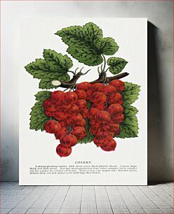 Πίνακας, Cherry Currants lithograph
