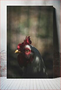 Πίνακας, Chicken in Shadows Κοτόπουλο στις σκιές