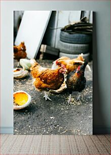 Πίνακας, Chickens Feeding Outdoors Κοτόπουλα που ταΐζουν σε εξωτερικούς χώρους