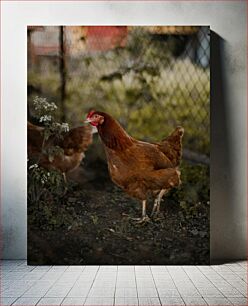 Πίνακας, Chickens in the Yard Κοτόπουλα στην αυλή