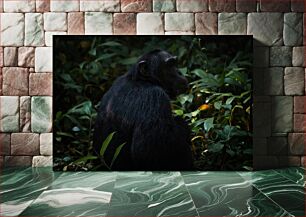 Πίνακας, Chimpanzee in the Wild Χιμπατζής στην άγρια ​​φύση
