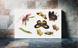 Πίνακας, Chinese insect drawing of five butterflies, a beetle, caterpillar and a grasshopper from the 18th century