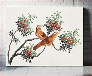 Πίνακας, Chinese painting featuring birds of China (ca.1800–1899) from the Miriam and Ira D. Wallach Division of Art, Prints and Photographs: Art & Architecture Collection