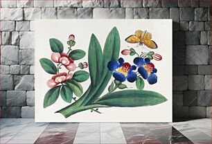 Πίνακας, Chinese painting featuring flowers and a butterfly (ca.1800–1899) from the Miriam and Ira D. Wallach Division of Art, Prints and Photographs: Art & Architecture Collection