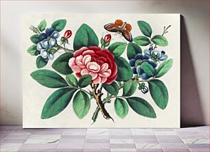 Πίνακας, Chinese painting featuring flowers and butterfly (ca.1800–1899) from the Miriam and Ira D. Wallach Division of Art, Prints and Photographs: Art & Architecture Collection