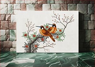 Πίνακας, Chinese painting featuring two birds on a flowering tree branch (ca.1800–1899) from the Miriam and Ira D. Wallach Division of Art, Prints and Photographs: Art & Architecture Collection