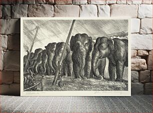 Πίνακας, Circus Elephants, John Steuart Curry