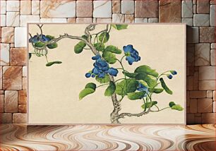 Πίνακας, Climbing Blue Flowers (18th Century) by Zhang Ruoai