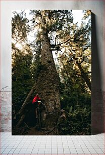 Πίνακας, Climbing the Giant Tree Αναρρίχηση στο γιγάντιο δέντρο