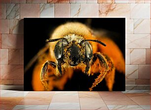 Πίνακας, Close-up of a Bee Κοντινό πλάνο μιας μέλισσας