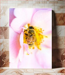 Πίνακας, Close-Up of a Bee on a Flower Κοντινό πλάνο μιας μέλισσας σε ένα λουλούδι