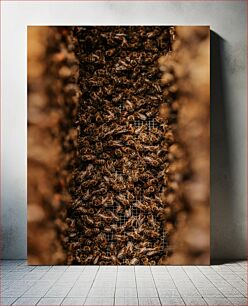 Πίνακας, Close-up of a Beehive Κινηματογράφηση σε πρώτο πλάνο μιας κυψέλης