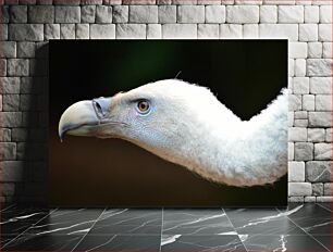 Πίνακας, Close-Up of a Bird Κοντινό πλάνο ενός πουλιού