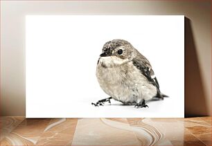 Πίνακας, Close-up of a Bird Κοντινό πλάνο ενός πουλιού