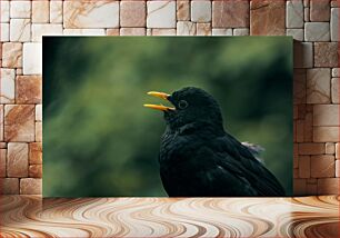 Πίνακας, Close-Up of a Black Bird Κοντινό πλάνο ενός μαύρου πουλιού