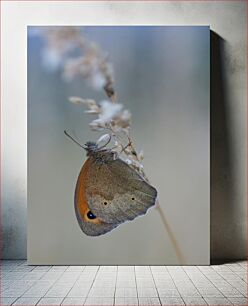 Πίνακας, Close-up of a Butterfly on a Twig Κοντινό πλάνο μιας πεταλούδας σε ένα κλαδί