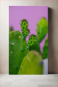 Πίνακας, Close-up of a Cactus Κοντινό πλάνο ενός κάκτου