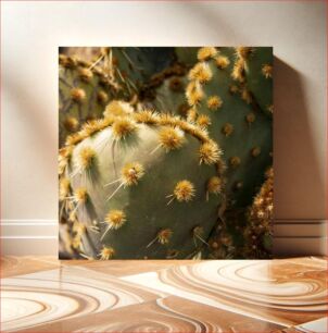 Πίνακας, Close-up of a Cactus Κοντινό πλάνο ενός κάκτου