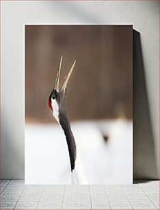 Πίνακας, Close-up of a Calling Bird Κοντινό πλάνο ενός πουλιού που καλεί