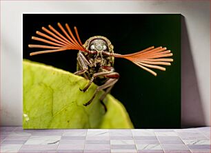 Πίνακας, Close-up of a Colorful Insect Κοντινό πλάνο ενός πολύχρωμου εντόμου