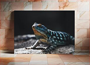 Πίνακας, Close-up of a Colorful Lizard Κοντινό πλάνο μιας πολύχρωμης σαύρας