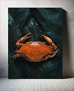 Πίνακας, Close-up of a Crab on Wet Surface Κοντινό πλάνο ενός καβουριού σε υγρή επιφάνεια