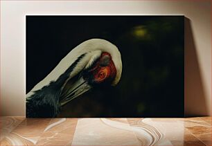 Πίνακας, Close-Up of a Crane Κοντινό πλάνο ενός γερανού