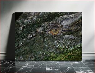 Πίνακας, Close-up of a Crocodile Eye Κοντινό πλάνο ενός ματιού κροκόδειλου