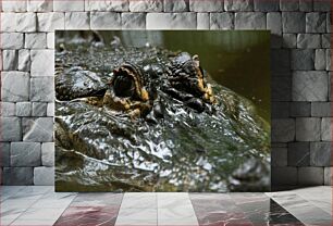 Πίνακας, Close-up of a Crocodile Κοντινό πλάνο ενός κροκόδειλου