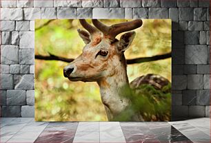 Πίνακας, Close-Up of a Deer in Nature Κοντινό πλάνο ενός ελαφιού στη φύση