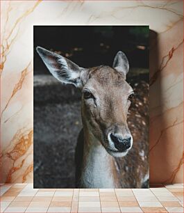 Πίνακας, Close-up of a Deer Κοντινό πλάνο ενός ελαφιού