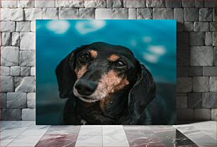 Πίνακας, Close-Up of a Dog Κοντινό πλάνο ενός σκύλου