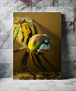 Πίνακας, Close-up of a Dragonfly Κοντινό πλάνο μιας Dragonfly