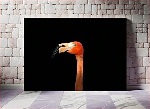 Πίνακας, Close-up of a Flamingo Κοντινό πλάνο ενός φλαμίνγκο