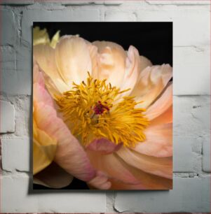 Πίνακας, Close-up of a Flower Κοντινό πλάνο ενός λουλουδιού