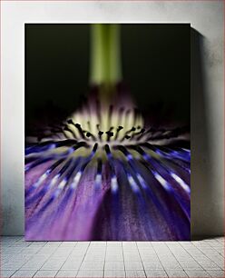 Πίνακας, Close-up of a Flower Κοντινό πλάνο ενός λουλουδιού