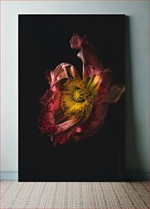 Πίνακας, Close-Up of a Flower Κοντινό πλάνο ενός λουλουδιού