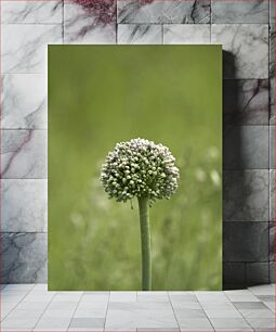 Πίνακας, Close-Up of a Flowering Plant Κοντινό πλάνο ενός ανθισμένου φυτού