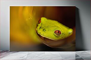 Πίνακας, Close-up of a Frog Κοντινό πλάνο ενός βάτραχου