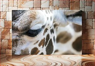 Πίνακας, Close-up of a Giraffe's Eye Κοντινό πλάνο του ματιού μιας καμηλοπάρδαλης