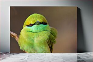 Πίνακας, Close-up of a Green Bird Κοντινό πλάνο ενός πράσινου πουλιού