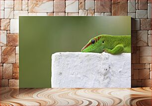 Πίνακας, Close-up of a Green Gecko Κοντινό πλάνο ενός πράσινου γκέκο