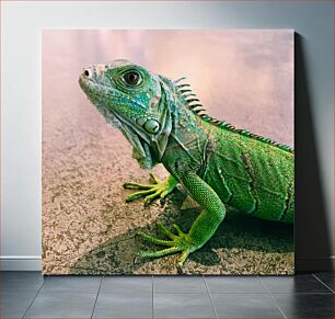 Πίνακας, Close-up of a Green Iguana Κοντινό πλάνο ενός πράσινου ιγκουάνα