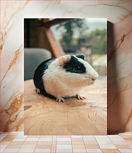 Πίνακας, Close-up of a Guinea Pig Κοντινό πλάνο ενός ινδικού χοιριδίου