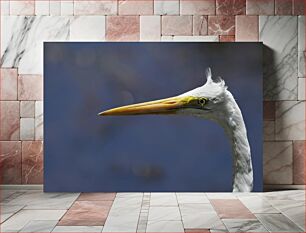 Πίνακας, Close-up of a Heron Κοντινό πλάνο ενός ερωδιού