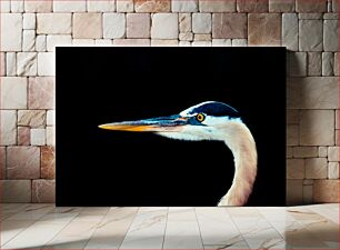 Πίνακας, Close-up of a Heron Κοντινό πλάνο ενός ερωδιού