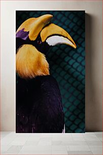 Πίνακας, Close-up of a Hornbill Κοντινό πλάνο ενός Hornbill