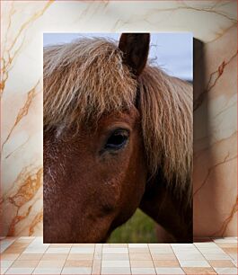 Πίνακας, Close-up of a Horse Κοντινό πλάνο ενός αλόγου