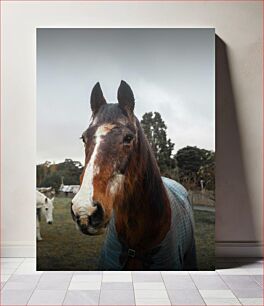 Πίνακας, Close-Up of a Horse Κοντινό πλάνο ενός αλόγου