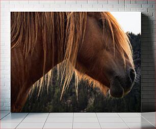 Πίνακας, Close-Up of a Horse Κοντινό πλάνο ενός αλόγου